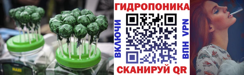 hydra как зайти  Данилов  Canna-Cookies марихуана 
