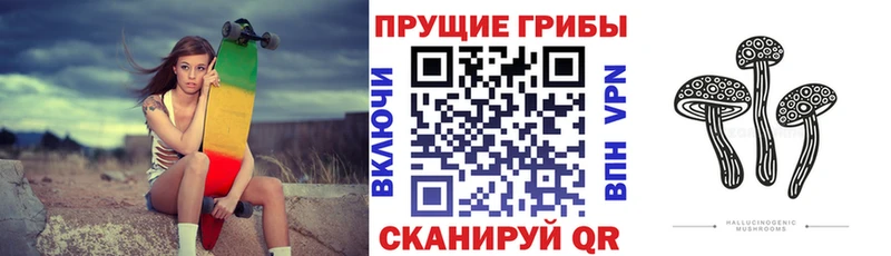 Галлюциногенные грибы Cubensis наркота Данилов